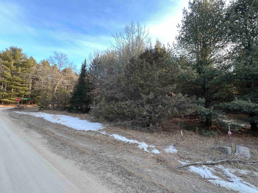 Photo for Lot 1 Sandy Pines Court, Redgranite, WI 54970 (MLS # 1993207)
