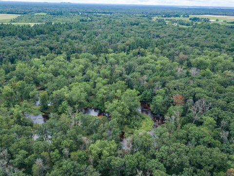 Tiny photo for 1892 A W 16th Avenue, Friendship, WI 53934 (MLS # 2007250)