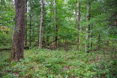 Tiny photo for 1892 A W 16th Avenue, Friendship, WI 53934 (MLS # 2007250)