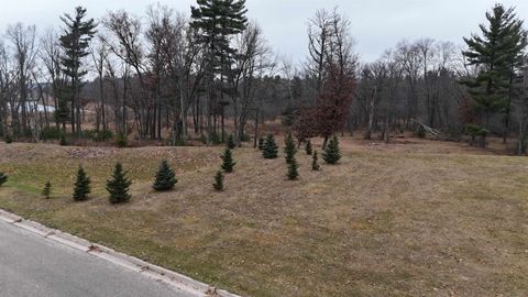 Tiny photo for 535 Collin Drive, Tomah, WI 54660 (MLS # 2012883)