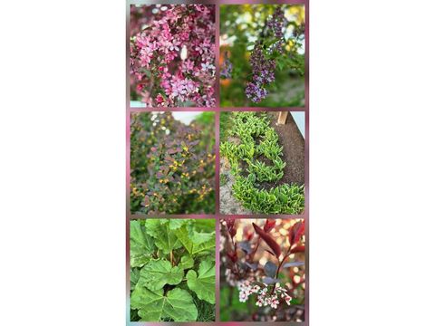 Tiny photo for 803 Centennial Parkway, Waunakee, WI 53597 (MLS # 2012804)