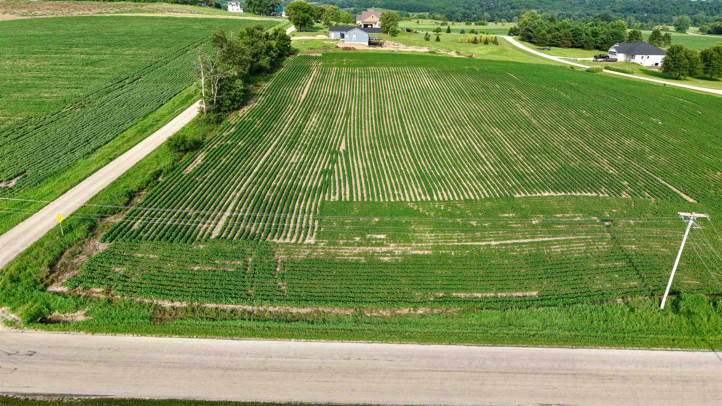 2.75 Ac Old Q Road - Photo 3