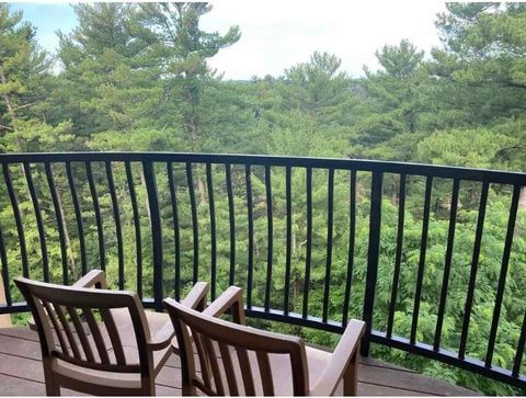 Tiny photo for 2411 River Road 2653 #2653, Wisconsin Dells, WI 53965 (MLS # 2002792)
