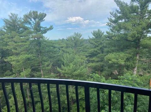 Tiny photo for 2411 River Road 2653 #2653, Wisconsin Dells, WI 53965 (MLS # 2002792)