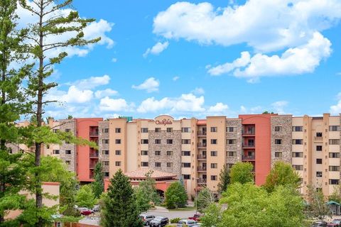 Tiny photo for 2411 River Road 2653 #2653, Wisconsin Dells, WI 53965 (MLS # 2002792)