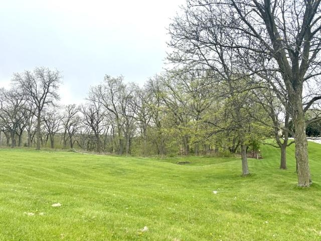 1 Bunny Trail