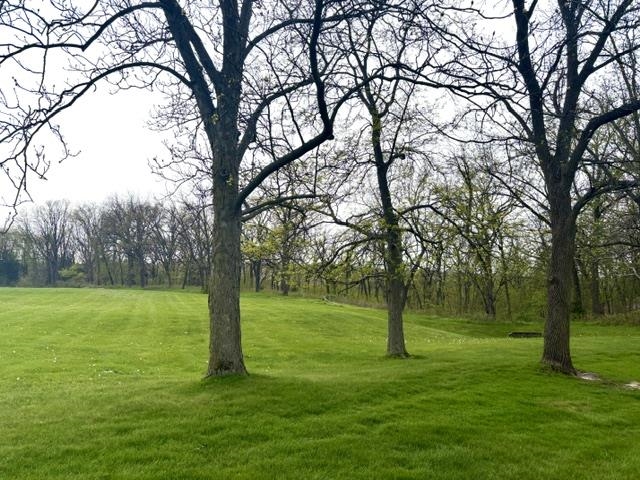 1 Bunny Trail