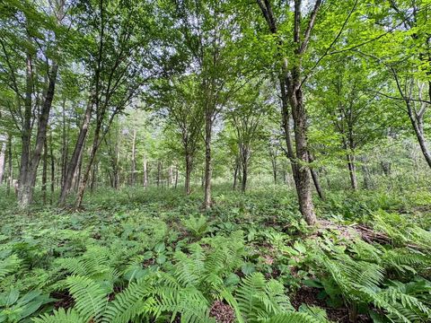 Tiny photo for 000 US Highway 12, Tomah, WI 54660 (MLS # 2002625)