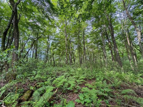 Tiny photo for 000 US Highway 12, Tomah, WI 54660 (MLS # 2002625)