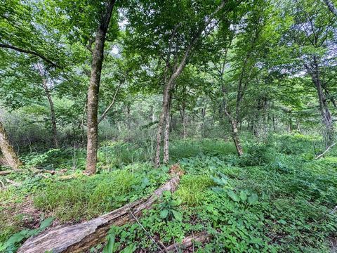 Tiny photo for 000 US Highway 12, Tomah, WI 54660 (MLS # 2002625)