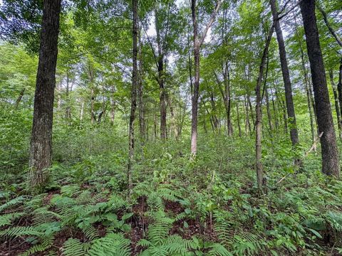 Tiny photo for 000 US Highway 12, Tomah, WI 54660 (MLS # 2002625)