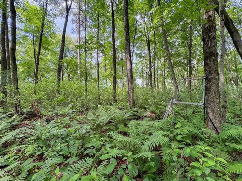 Tiny photo for 000 US Highway 12, Tomah, WI 54660 (MLS # 2002625)