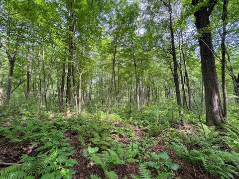 Tiny photo for 000 US Highway 12, Tomah, WI 54660 (MLS # 2002625)