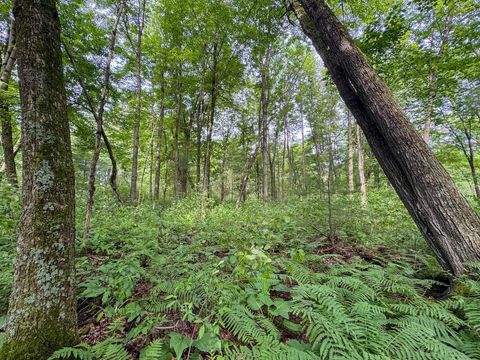 Tiny photo for 000 US Highway 12, Tomah, WI 54660 (MLS # 2002625)