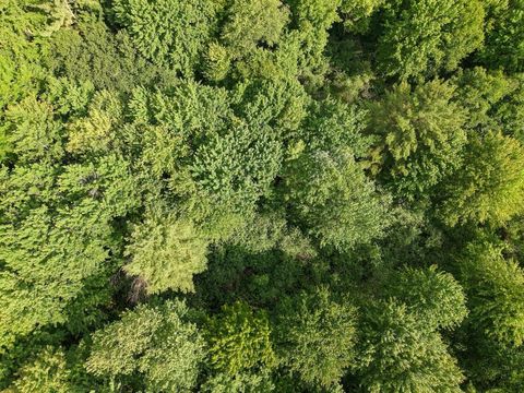 Tiny photo for 000 US Highway 12, Tomah, WI 54660 (MLS # 2002625)