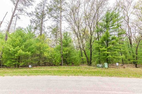 Tiny photo for L17 W 11th Drive, Friendship, WI 53934 (MLS # 1884229)