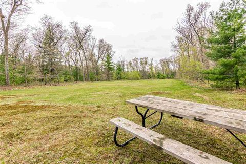 Tiny photo for L17 W 11th Drive, Friendship, WI 53934 (MLS # 1884229)