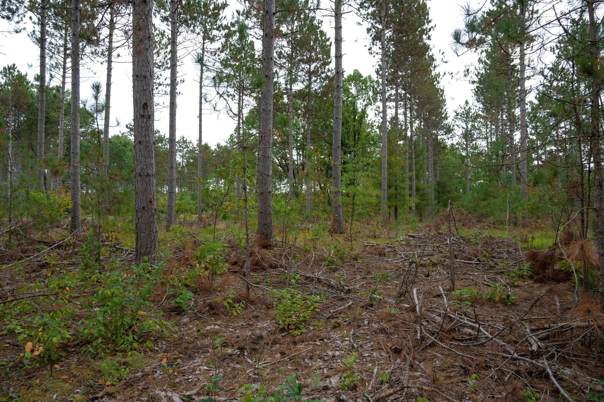 Photo 1 of 41 — Lot 2 Bollig Court, Nekoosa, WI 54457