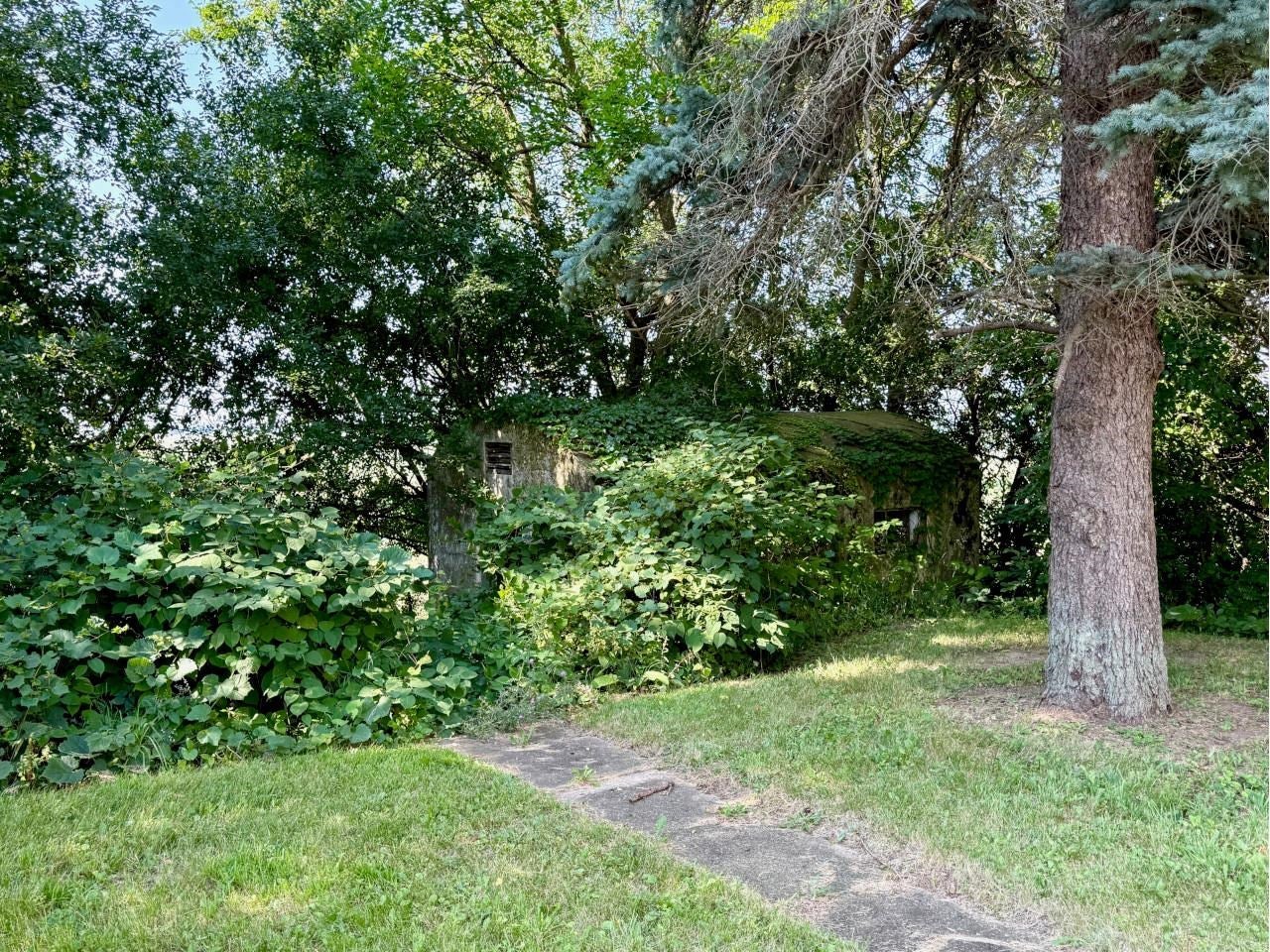 N2349 WIBU Road
