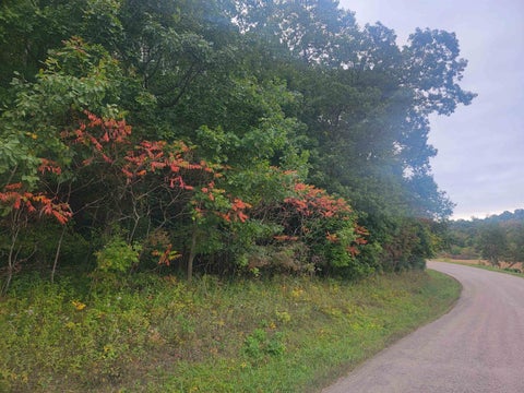 Photo of 0000 German Valley Road, Hillsboro, WI 54634 (MLS # 2033726)