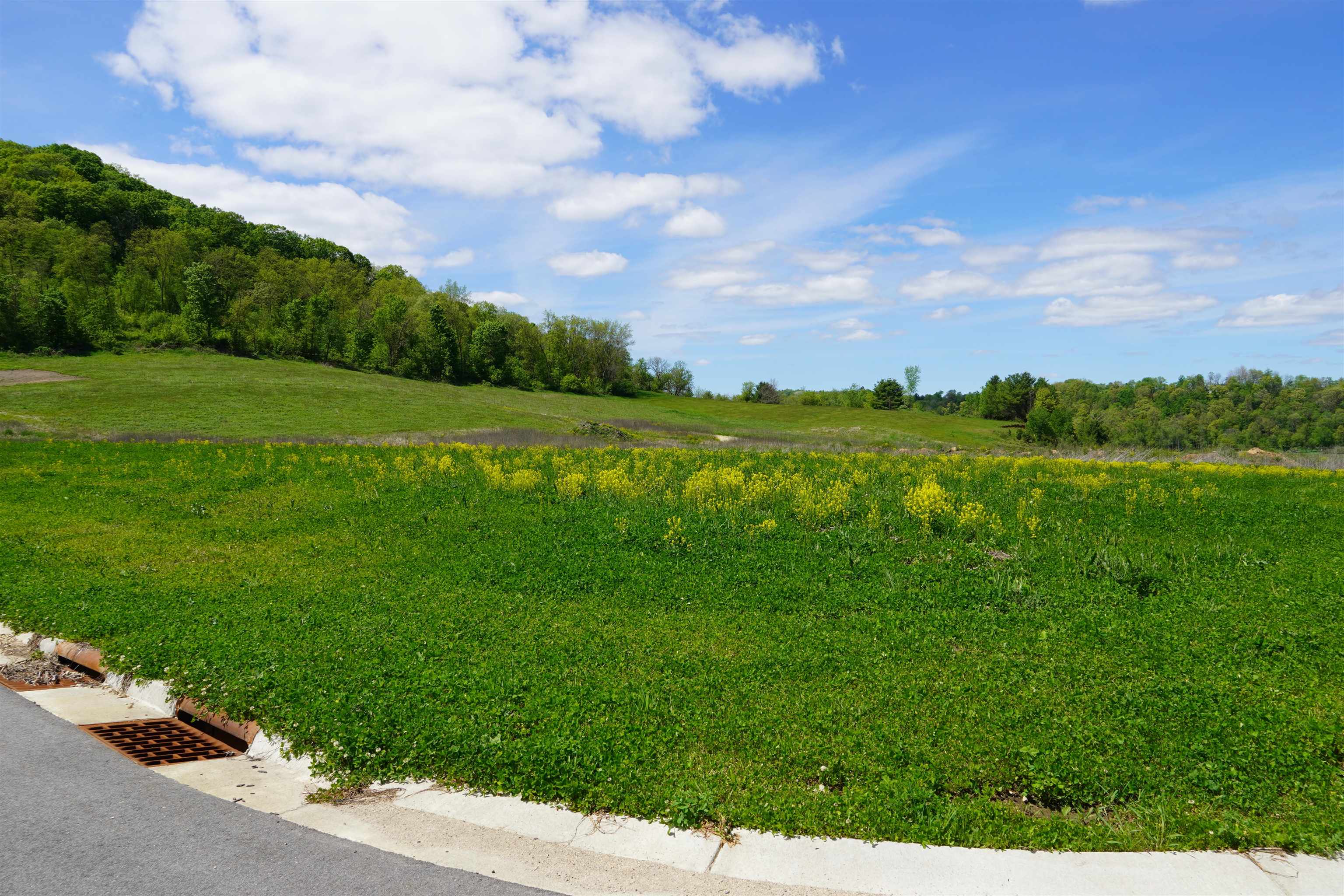 Lot 3 Pearson Place