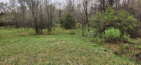 Photo of 2 Ac Highway 13, Wisconsin Dells, WI 53965 (MLS # 2020907)