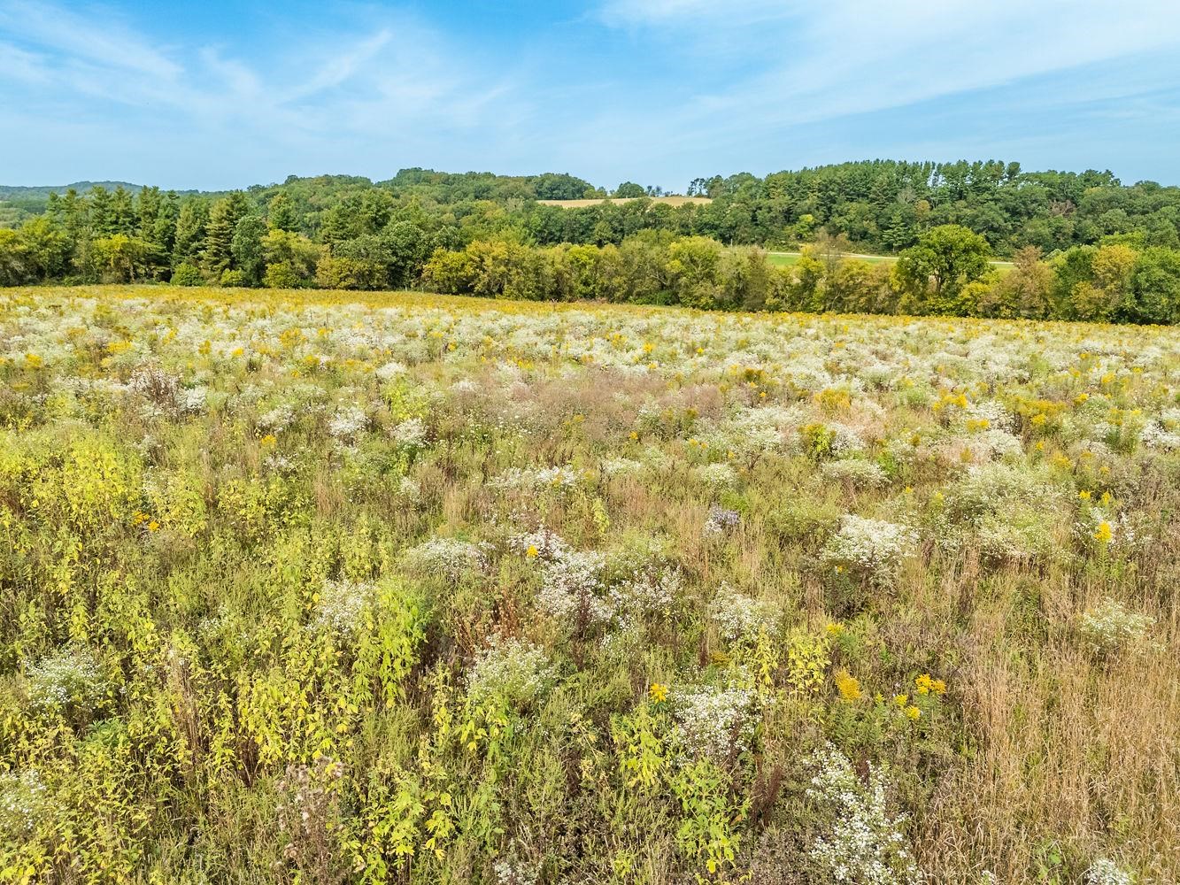 Wonewoc, Wisconsin 53968, United States, 3 Bedrooms Bedrooms, ,2 BathroomsBathrooms,Residential,Active,108444