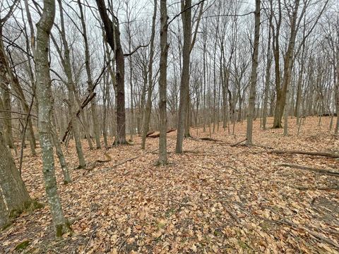 Photo of L150 Black Forest Pine Cone Lane, La Valle, WI 53941 (MLS # 2020491)