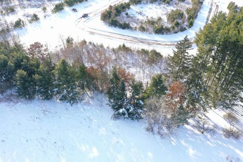 Photo of Lot 7 Holzem Circle, Wisconsin Dells, WI 53965 (MLS # 2013769)