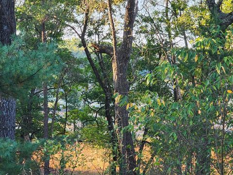 Tiny photo for Dyke Drive, Friendship, WI 53934 (MLS # 2010152)