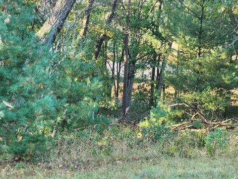 Tiny photo for Dyke Drive, Friendship, WI 53934 (MLS # 2010152)