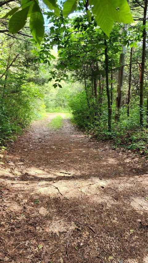 Tiny photo for N697 County Road N, Neshkoro, WI 54960 (MLS # 1985353)