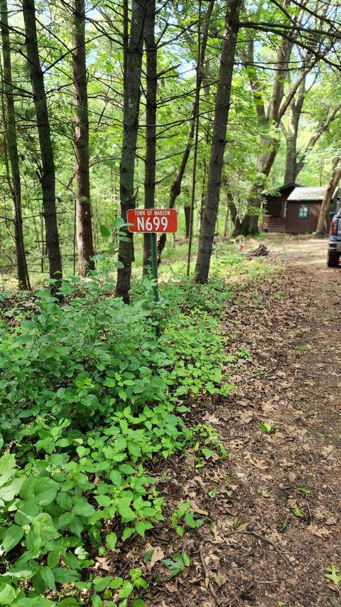 Tiny photo for N697 County Road N, Neshkoro, WI 54960 (MLS # 1985353)