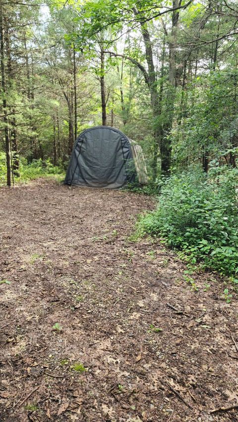 Tiny photo for N697 County Road N, Neshkoro, WI 54960 (MLS # 1985353)