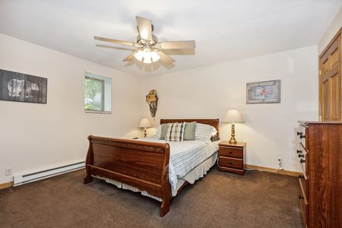 Tiny photo for W10212 County Road C, Wautoma, WI 54982 (MLS # 2002695)