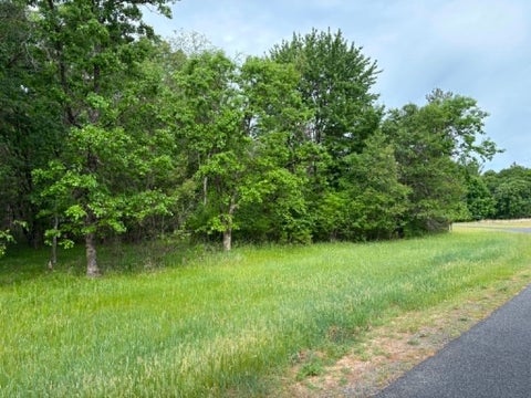 Photo of Lot 13 19th Boulevard, Friendship, WI 53934 (MLS # 2024823)