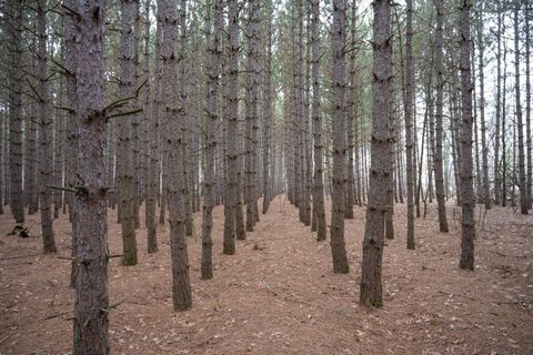 Photo of 685 17th Drive, Arkdale, WI 54613 (MLS # 2018187)