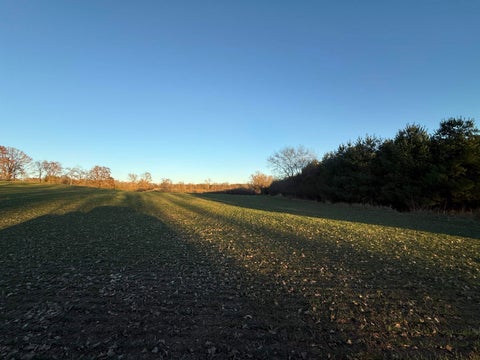 Photo of 92+/- acres State Road 49 Acres, Green Lake, WI 54941 (MLS # 2029294)