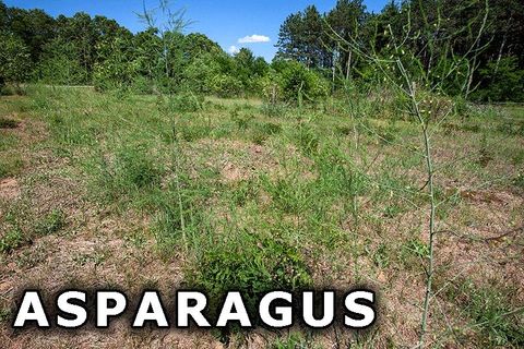 Tiny photo for 311 Highway 21, Friendship, WI 53934 (MLS # 2003260)