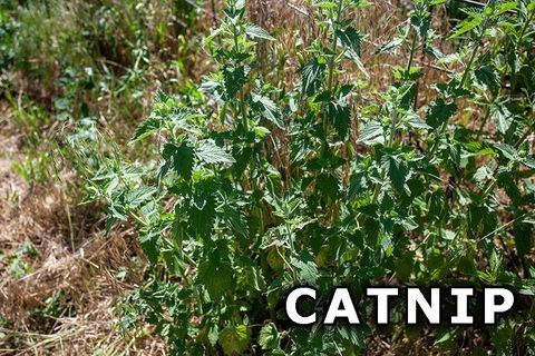 Tiny photo for 311 Highway 21, Friendship, WI 53934 (MLS # 2003260)