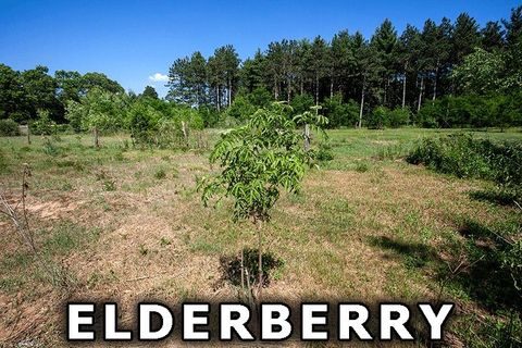 Tiny photo for 311 Highway 21, Friendship, WI 53934 (MLS # 2003260)