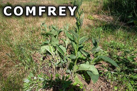 Tiny photo for 311 Highway 21, Friendship, WI 53934 (MLS # 2003260)