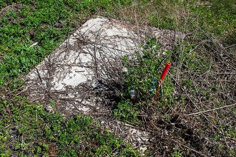 Tiny photo for 311 Highway 21, Friendship, WI 53934 (MLS # 2003260)