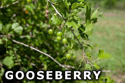 Tiny photo for 311 Highway 21, Friendship, WI 53934 (MLS # 2003260)