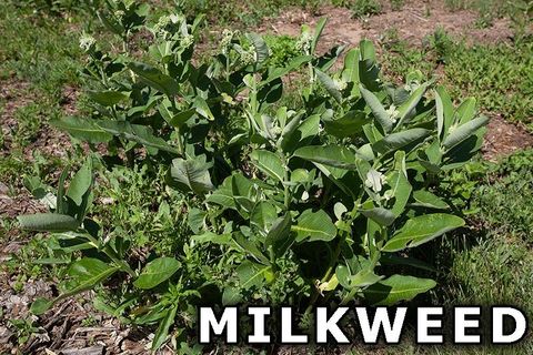 Tiny photo for 311 Highway 21, Friendship, WI 53934 (MLS # 2003260)