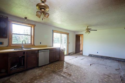 Tiny photo for 311 Highway 21, Friendship, WI 53934 (MLS # 2003260)