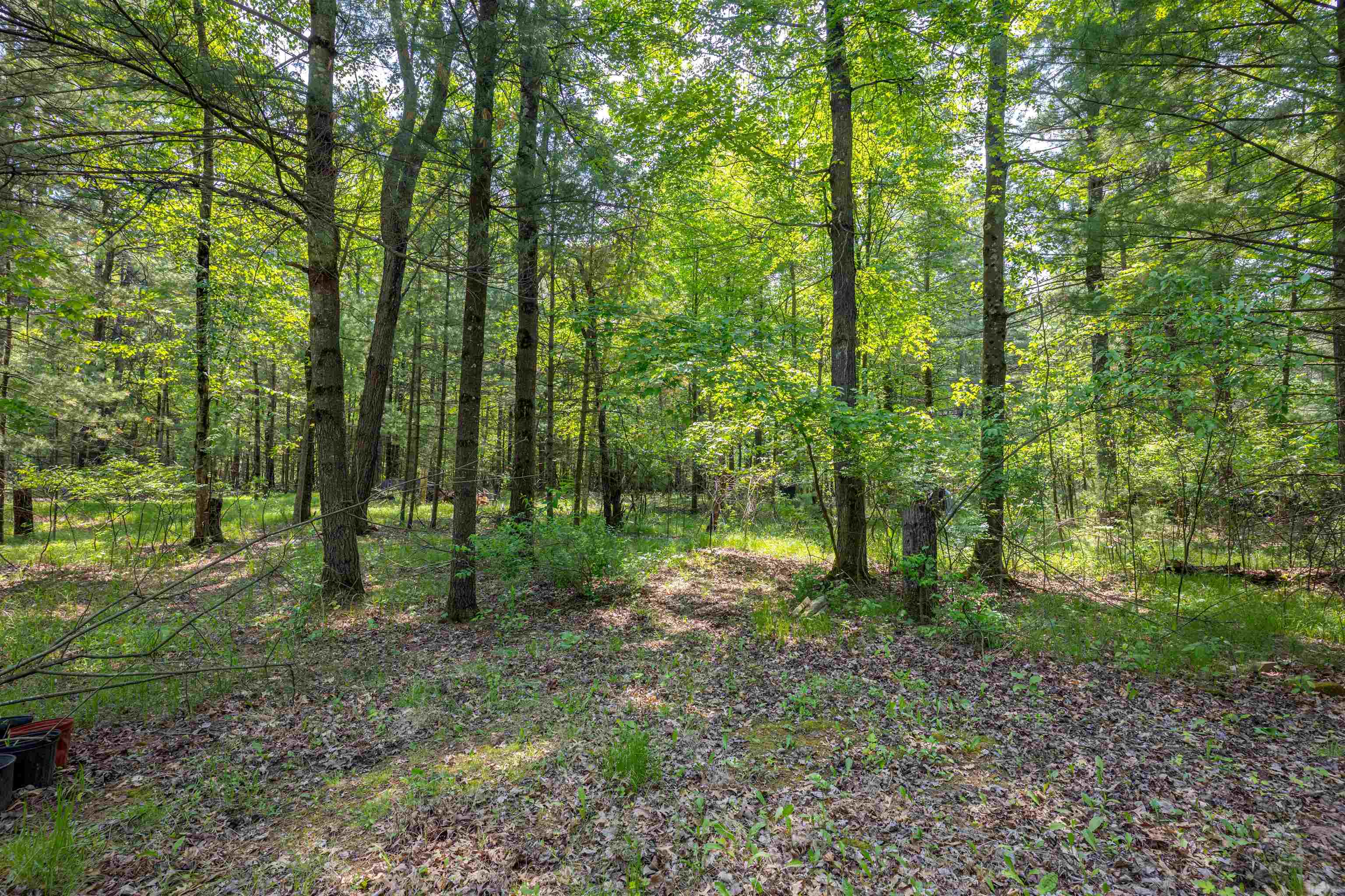 Wisconsin Dells, Wisconsin 53965, United States, ,Land,Active,149829