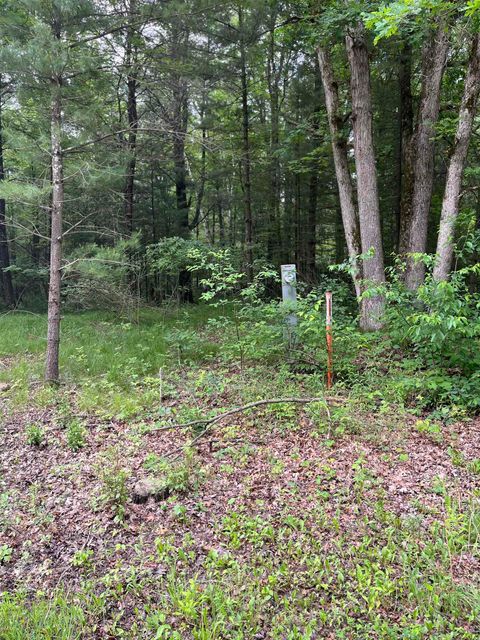 Tiny photo for 1365 Fur Court, Wisconsin Dells, WI 53965 (MLS # 2002038)