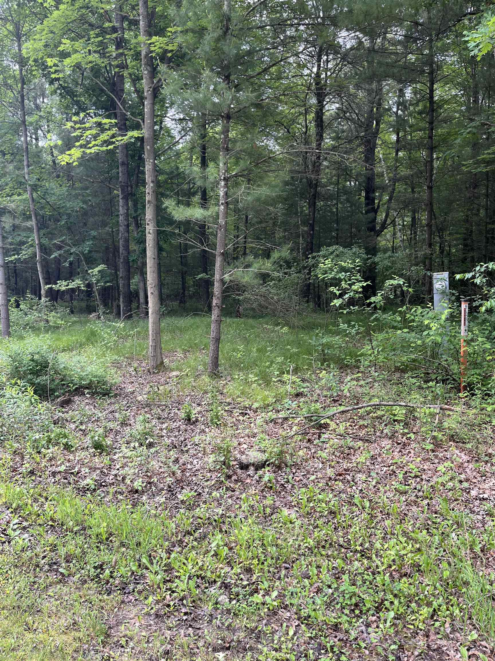 Wisconsin Dells, Wisconsin 53965, United States, ,Land,Active,149829