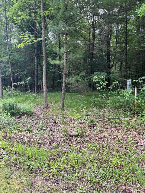 Tiny photo for 1365 Fur Court, Wisconsin Dells, WI 53965 (MLS # 2002038)